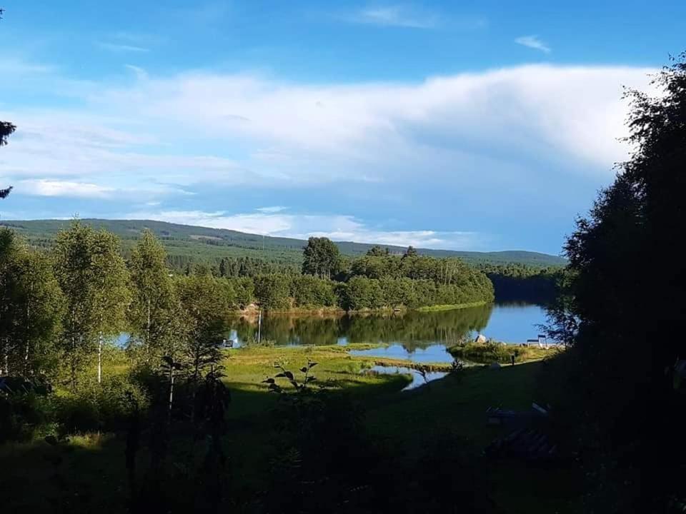 فندق Camping Djupdalen Ekshärad المظهر الخارجي الصورة